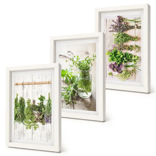 Sušenie byliniek a rastlín do kuchyne triptych v ráme