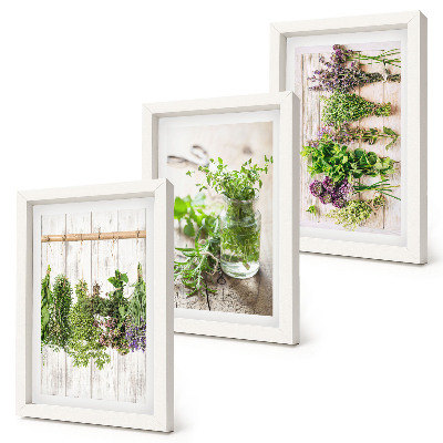 Triptych v ráme Sušenie byliniek a rastlín do kuchyne