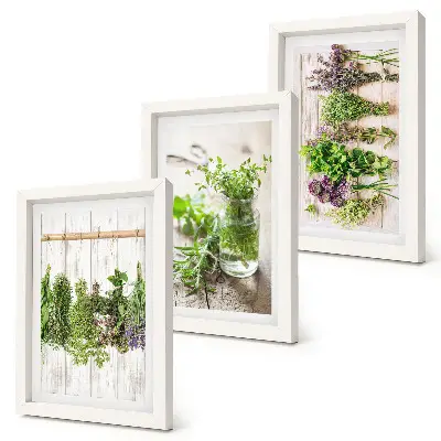 Sušenie byliniek a rastlín do kuchyne triptych v ráme
