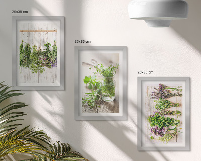 Triptych v ráme Sušenie byliniek a rastlín do kuchyne