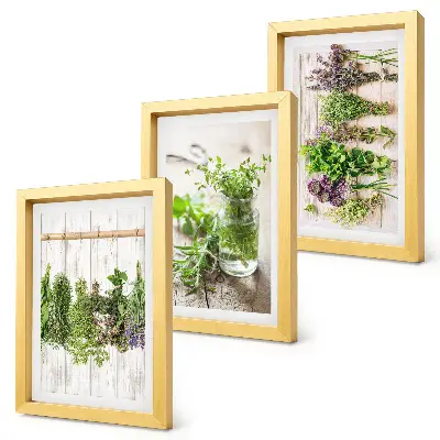 Sušenie byliniek a rastlín do kuchyne triptych v ráme