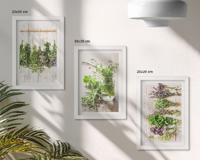 Triptych v ráme Sušenie byliniek a rastlín do kuchyne