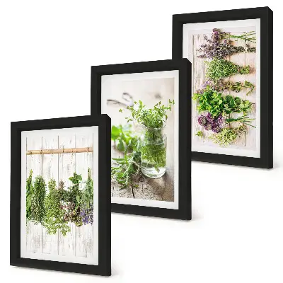 Sušenie byliniek a rastlín do kuchyne triptych v ráme