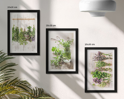 Triptych v ráme Sušenie byliniek a rastlín do kuchyne