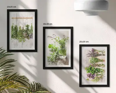 Sušenie byliniek a rastlín do kuchyne triptych v ráme