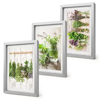 Sušenie byliniek a rastlín do kuchyne triptych v ráme