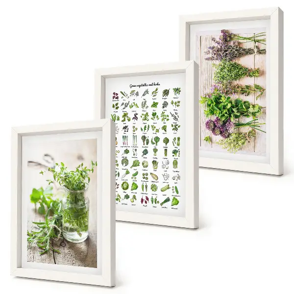 Zoznam sušených rastlín do kuchyne triptych v ráme