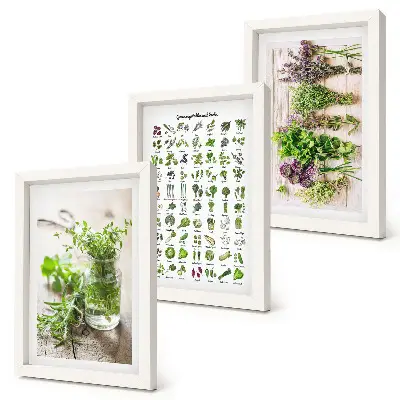 Zoznam sušených rastlín do kuchyne triptych v ráme