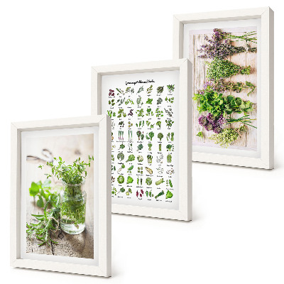 Triptych v ráme Zoznam sušených rastlín do kuchyne