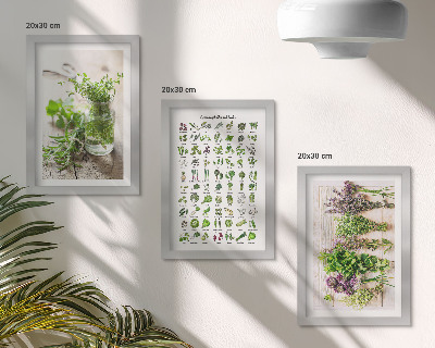 Triptych v ráme Zoznam sušených rastlín do kuchyne
