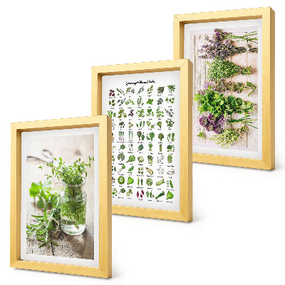 Triptych v ráme Zoznam sušených rastlín do kuchyne