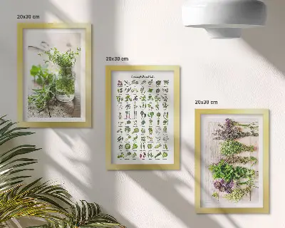 Zoznam sušených rastlín do kuchyne triptych v ráme