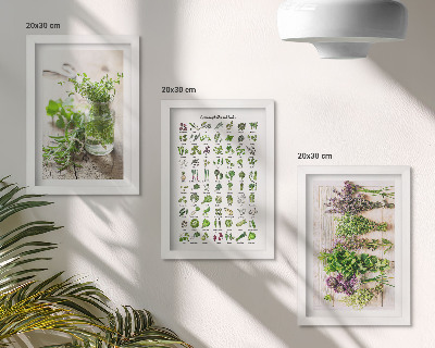 Triptych v ráme Zoznam sušených rastlín do kuchyne