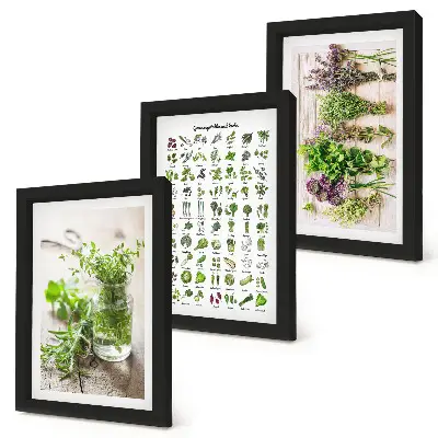Zoznam sušených rastlín do kuchyne triptych v ráme