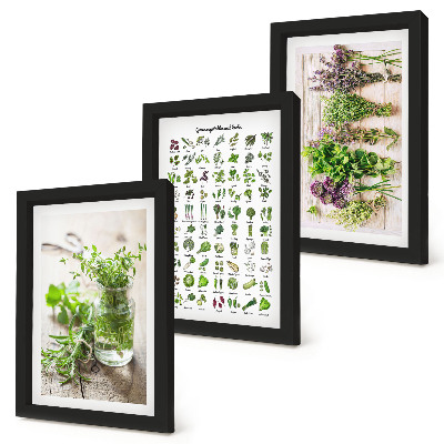 Triptych v ráme Zoznam sušených rastlín do kuchyne
