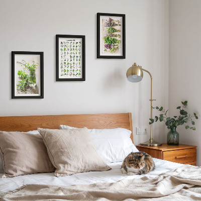 Triptych v ráme Zoznam sušených rastlín do kuchyne