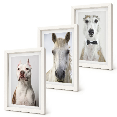 Triptych v ráme Zaujímavé portréty psov a koní v elegantnom štýle