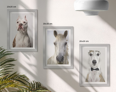 Triptych v ráme Zaujímavé portréty psov a koní v elegantnom štýle