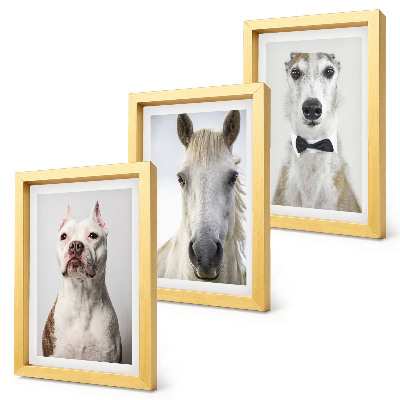 Triptych v ráme Zaujímavé portréty psov a koní v elegantnom štýle