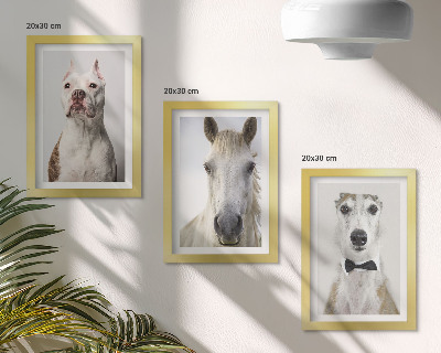 Triptych v ráme Zaujímavé portréty psov a koní v elegantnom štýle