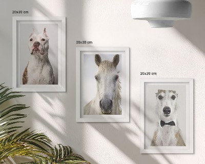 Triptych v ráme Zaujímavé portréty psov a koní v elegantnom štýle
