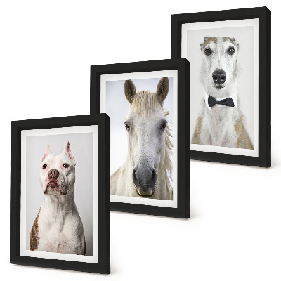 Triptych v ráme Zaujímavé portréty psov a koní v elegantnom štýle