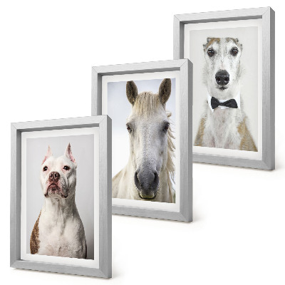 Triptych v ráme Zaujímavé portréty psov a koní v elegantnom štýle