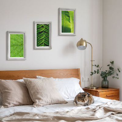 Triptych v ráme Detailné zábery tropických listov