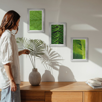 Triptych v ráme Detailné zábery tropických listov