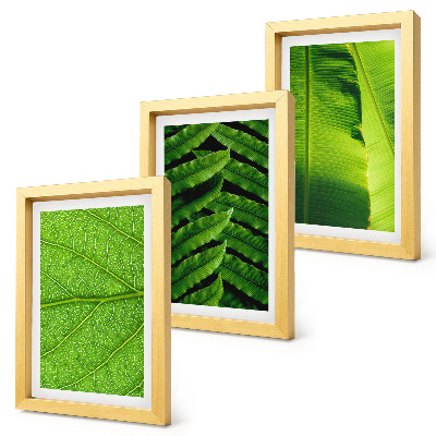 Triptych v ráme Detailné zábery tropických listov