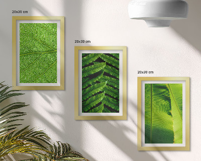 Triptych v ráme Detailné zábery tropických listov