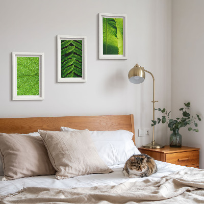 Triptych v ráme Detailné zábery tropických listov
