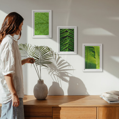 Triptych v ráme Detailné zábery tropických listov