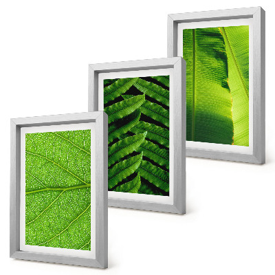 Triptych v ráme Detailné zábery tropických listov