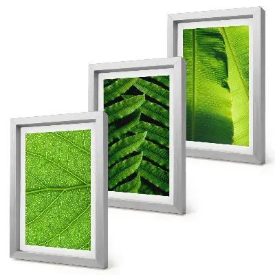 Detailné zábery tropických listov triptych v ráme