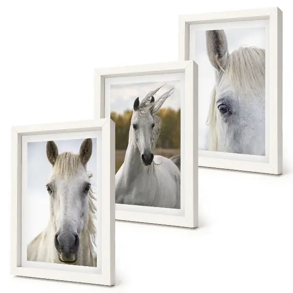 Triptych v ráme biele kone v rôznych pózach na prírodnom pozadí