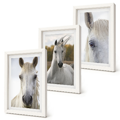 Triptych v ráme Biele kone v rôznych pózach na prirodzenom pozadí