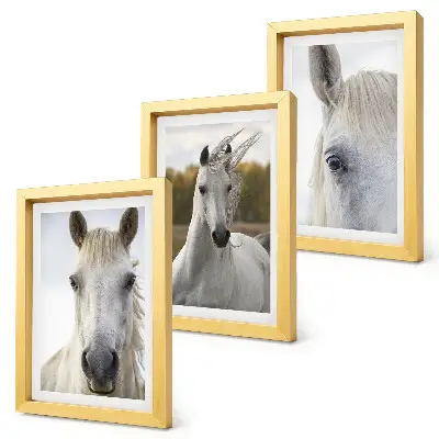 Triptych v ráme biele kone v rôznych pózach na prírodnom pozadí