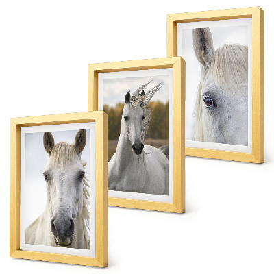 Triptych v ráme Biele kone v rôznych pózach na prirodzenom pozadí