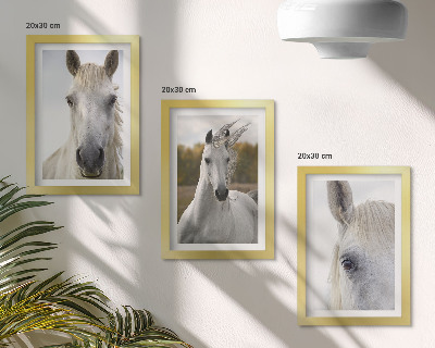 Triptych v ráme Biele kone v rôznych pózach na prirodzenom pozadí