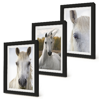 Triptych v ráme Biele kone v rôznych pózach na prirodzenom pozadí