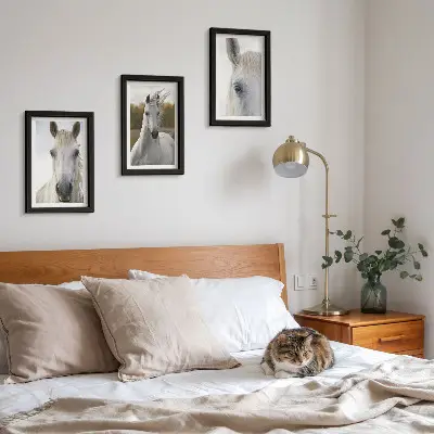 Triptych v ráme biele kone v rôznych pózach na prírodnom pozadí