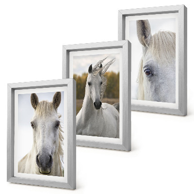Triptych v ráme Biele kone v rôznych pózach na prirodzenom pozadí