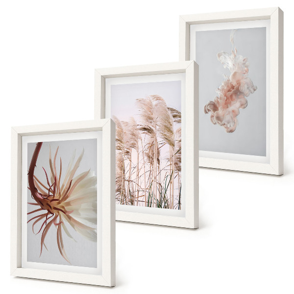 Triptych v ráme Kvety a trávy na svetlom pozadí v harmonickom sete