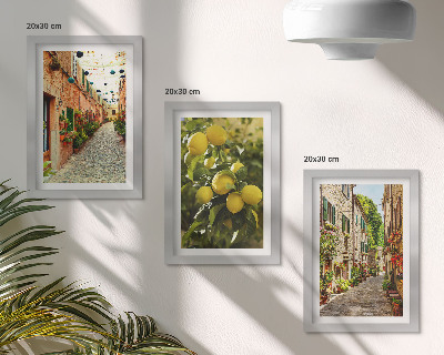 Triptych v ráme Očarujúce ulice s kvetmi a citrónmi v pozadí