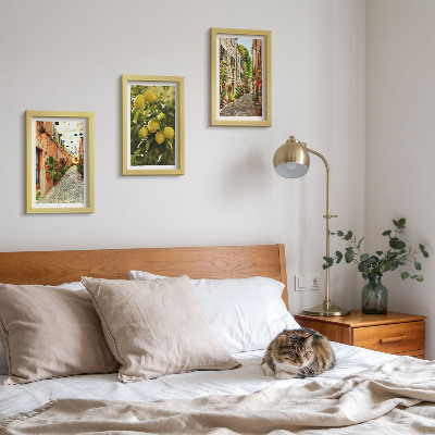 Triptych v ráme Očarujúce ulice s kvetmi a citrónmi v pozadí