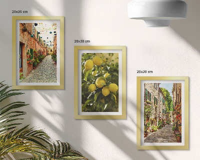 Triptych v ráme Očarujúce ulice s kvetmi a citrónmi v pozadí