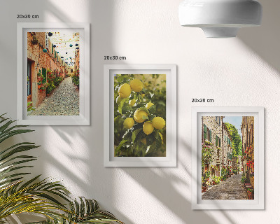 Triptych v ráme Očarujúce ulice s kvetmi a citrónmi v pozadí