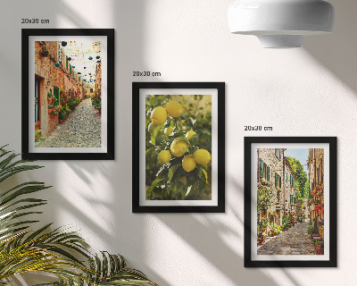 Triptych v ráme Očarujúce ulice s kvetmi a citrónmi v pozadí