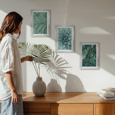 Triptych v ráme Detailné zábery sukulentných rastlín a listov